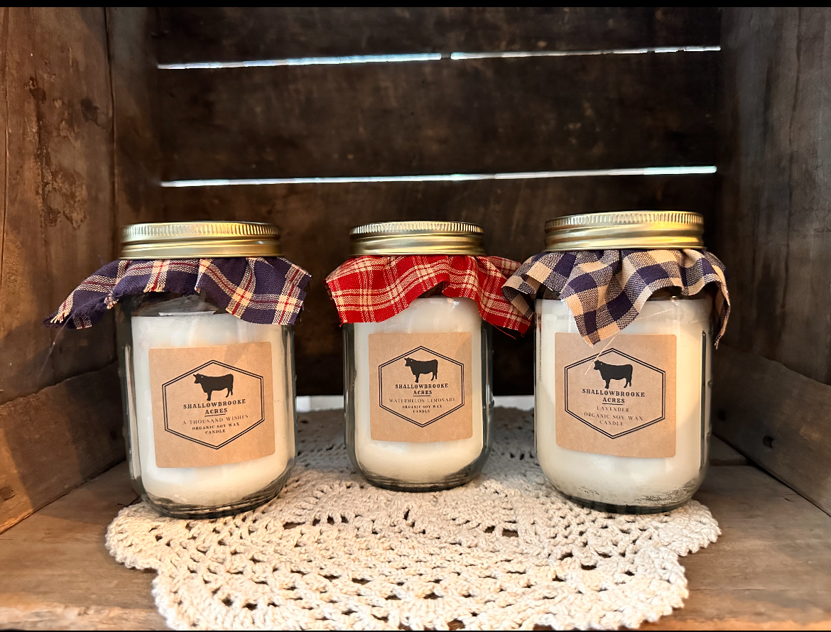 Soy Candle